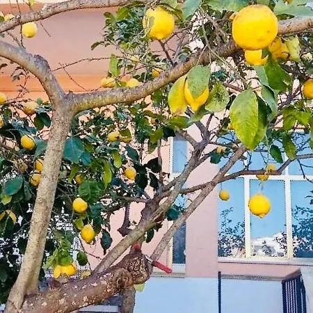 Casa Maria E Giardino Di Limoni Apartamento