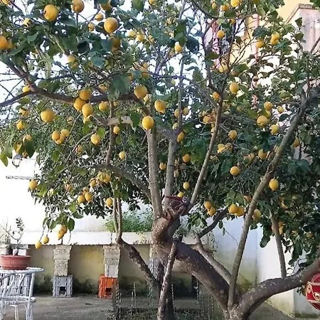 Casa Maria E Giardino Di Limoni