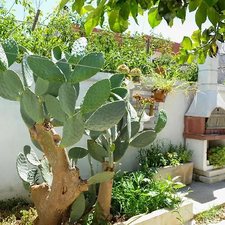 Casa Maria E Giardino Di Limoni *