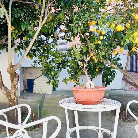 Apartamento Casa Maria E Giardino Di Limoni *