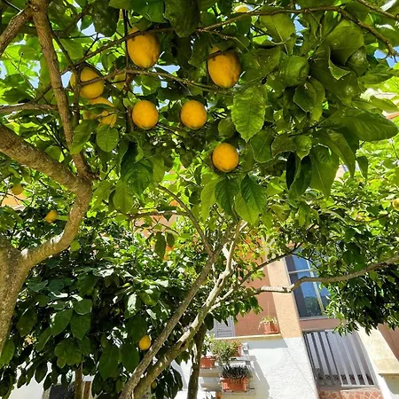 Casa Maria E Giardino Di Limoni Lägenhet *