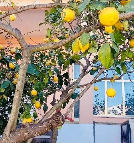 Casa Maria E Giardino Di Limoni شقة