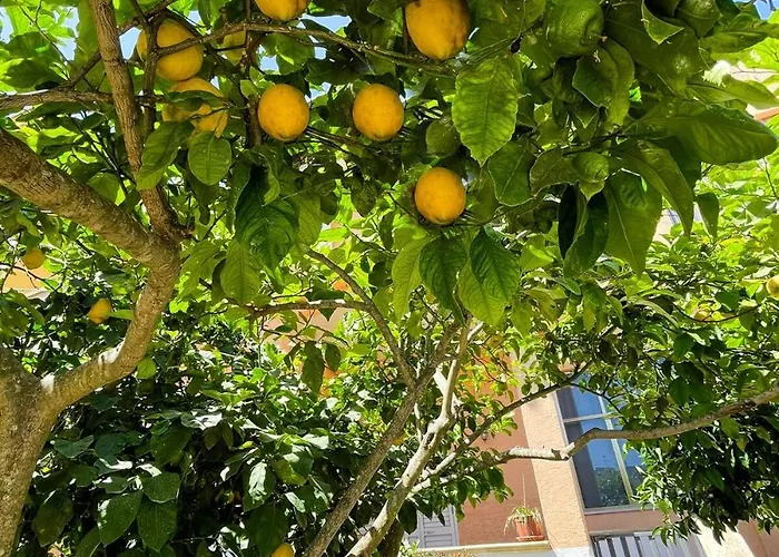 Casa Maria E Giardino Di Limoni شقة *